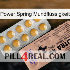 Power Spring Mundflüssigkeit 41
